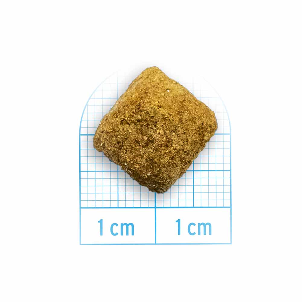 Alimento secco cane Forza10 Intestinal Colon Fase 2 agnello sorgo 10 kg 3