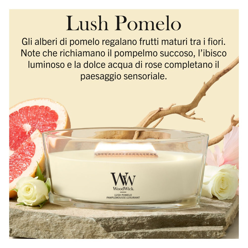 Candela Ellipse WoodWick Lush Pomelo 2