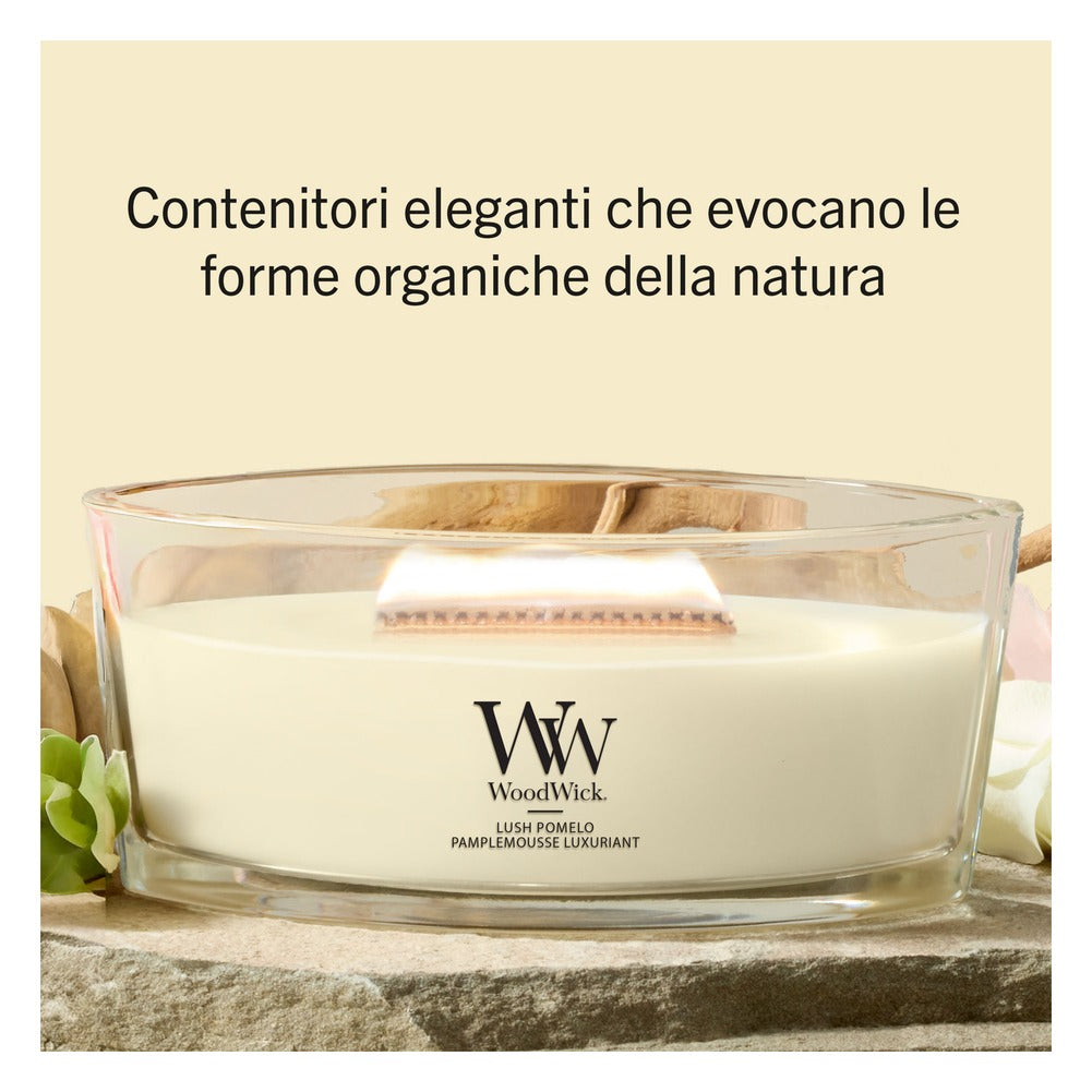 Candela Ellipse WoodWick Lush Pomelo 3
