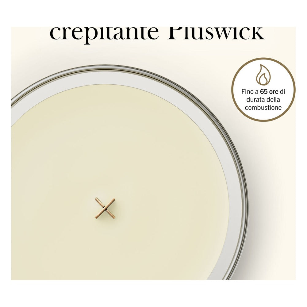 Candela Media WoodWick Lush Pomelo 4