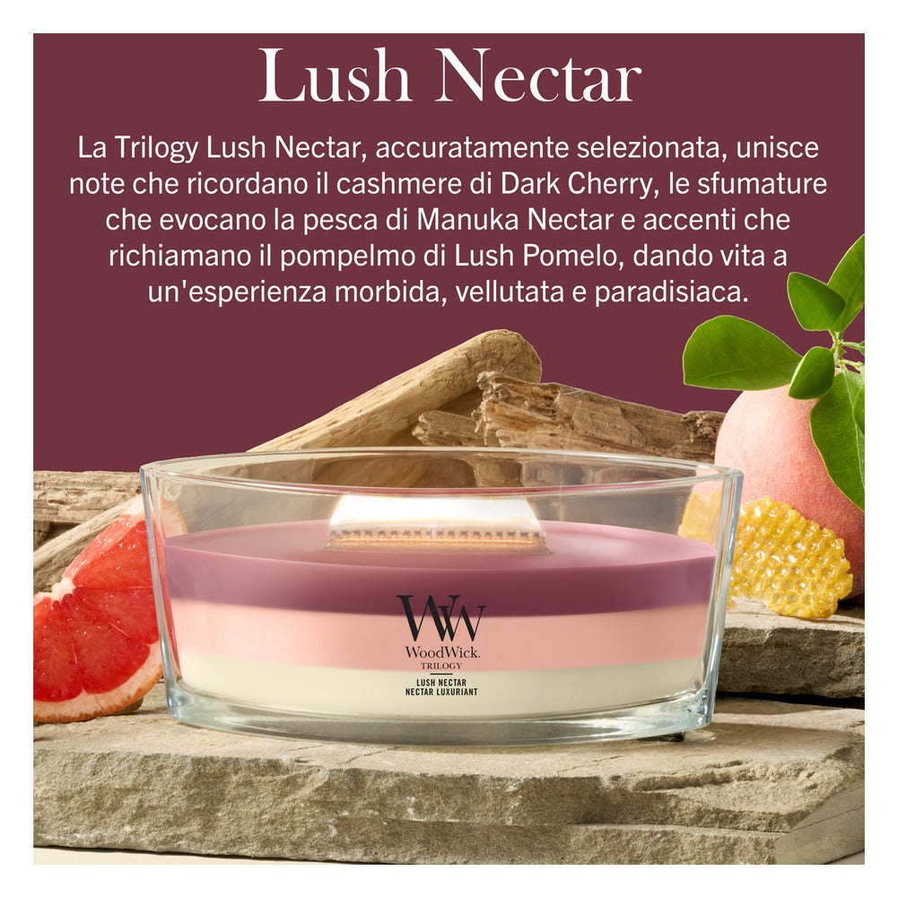 Candela Ellipse Trilogy WoodWick Lush Nectar 2