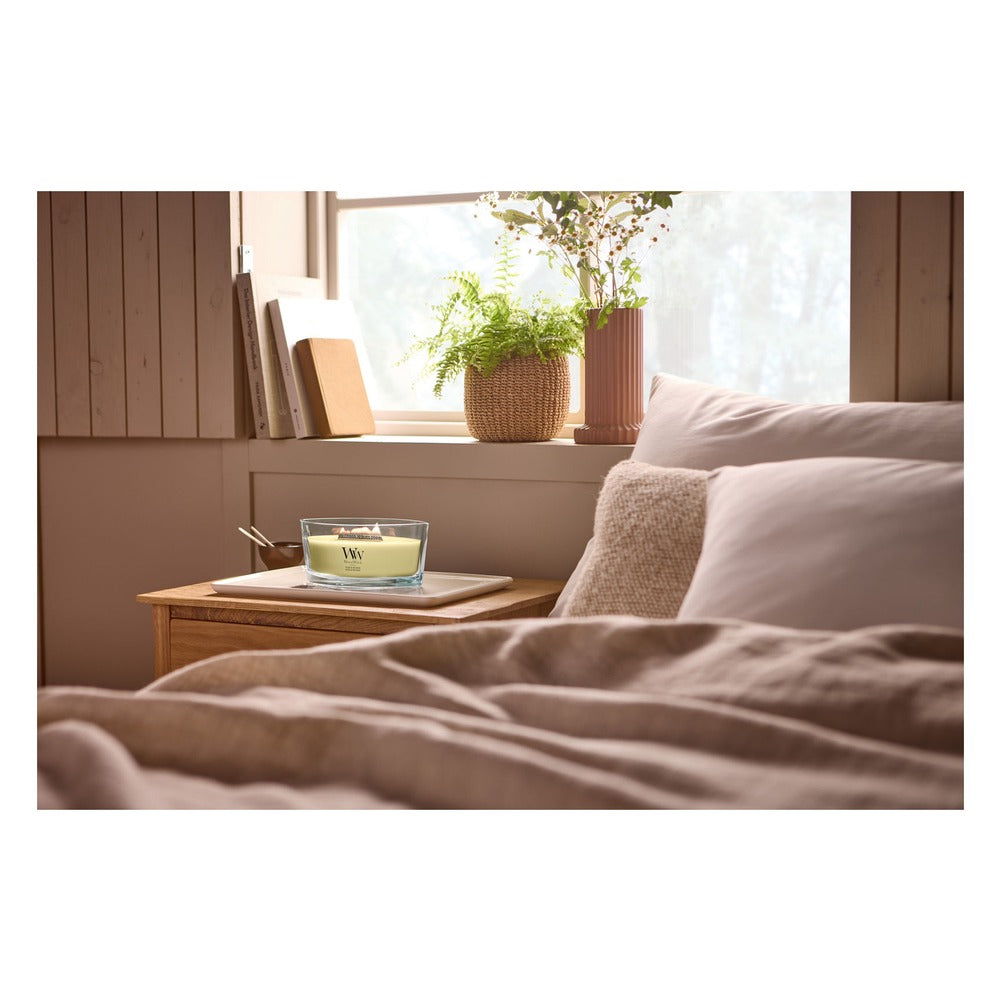 Candela Ellipse WoodWick Yuzu & Vetiver 3