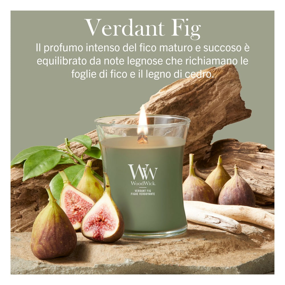 Candela Media WoodWick Verdant Fig 4