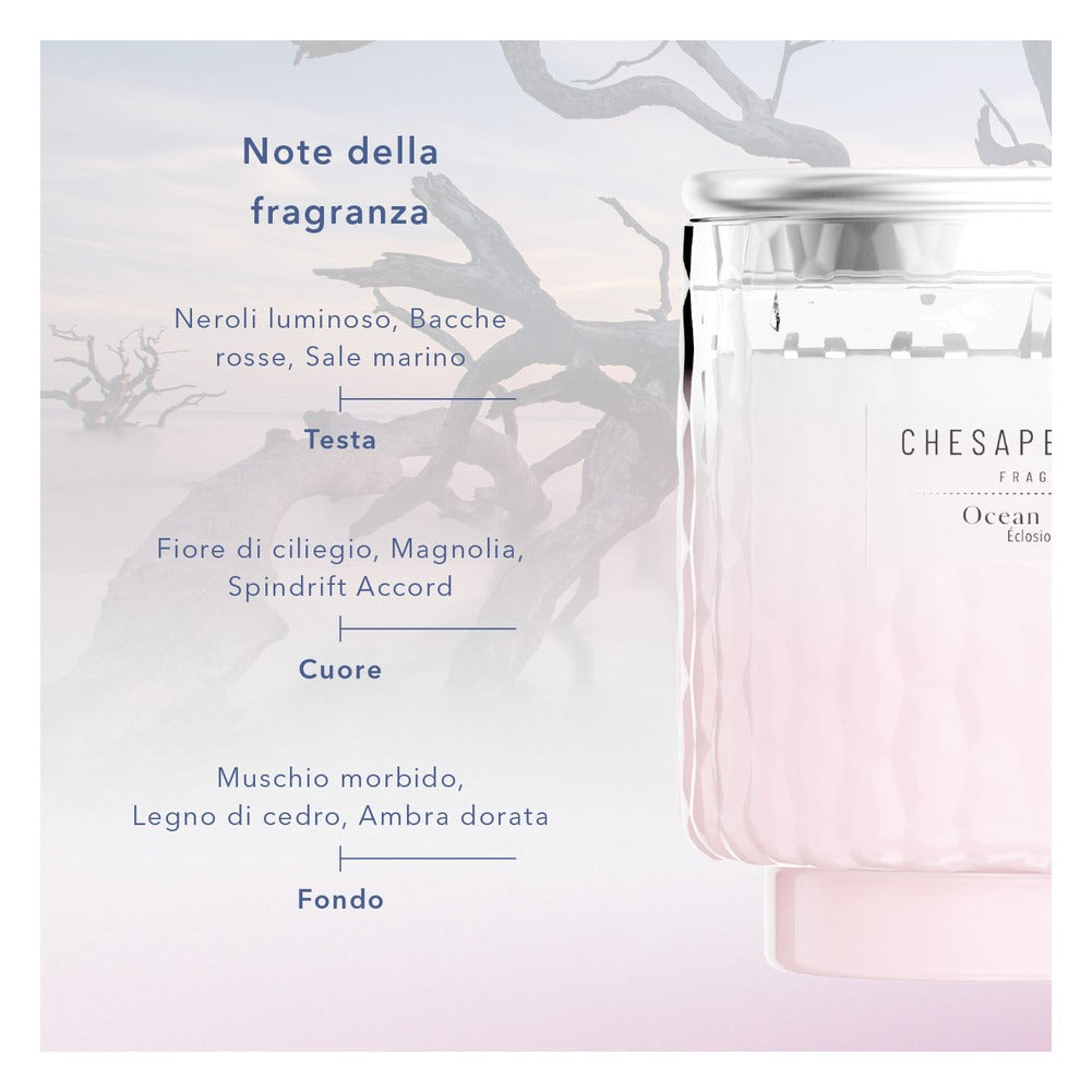 Diffusore a Bastoncini Chesapeake Bay Candle Ocean Blossom 3