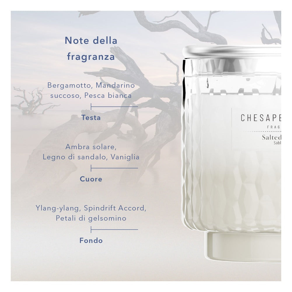 Diffusore a Bastoncini Chesapeake Bay Candle Salted Sands 3