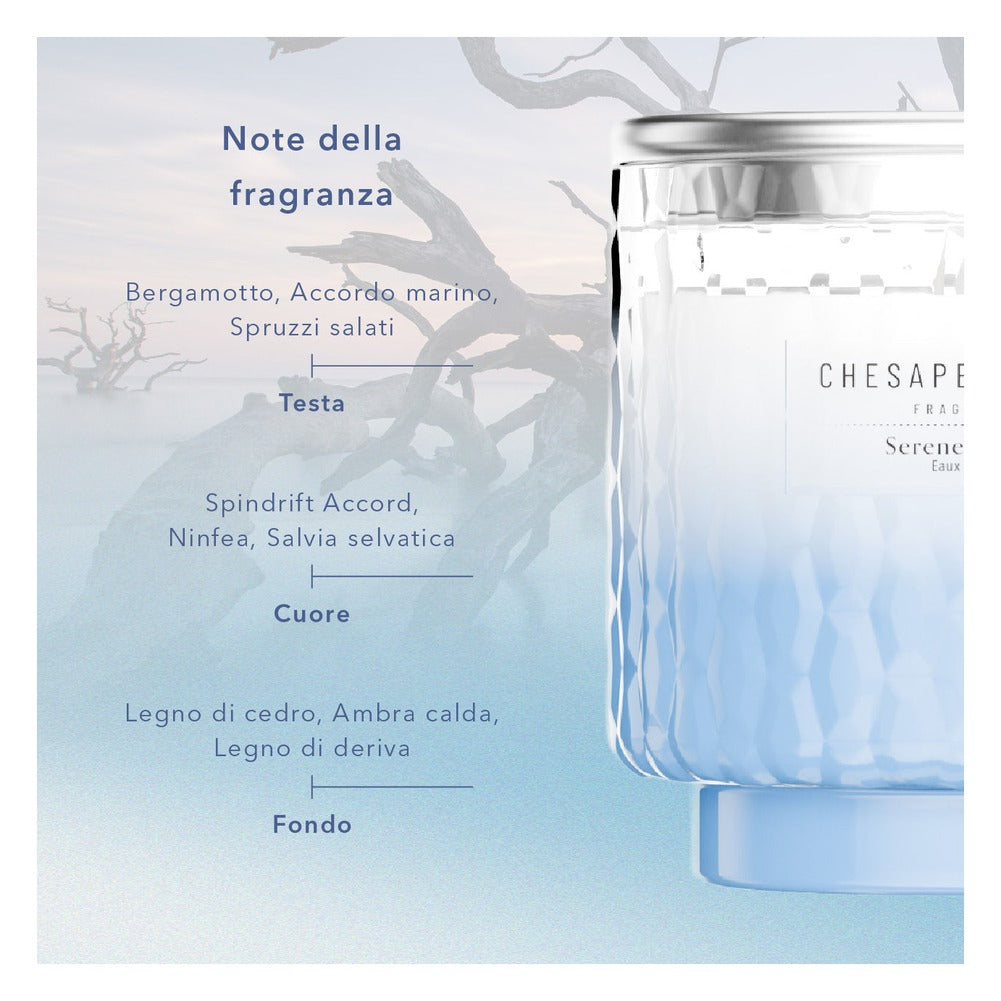 Diffusore a Bastoncini Chesapeake Bay Candle Serene Waters 4