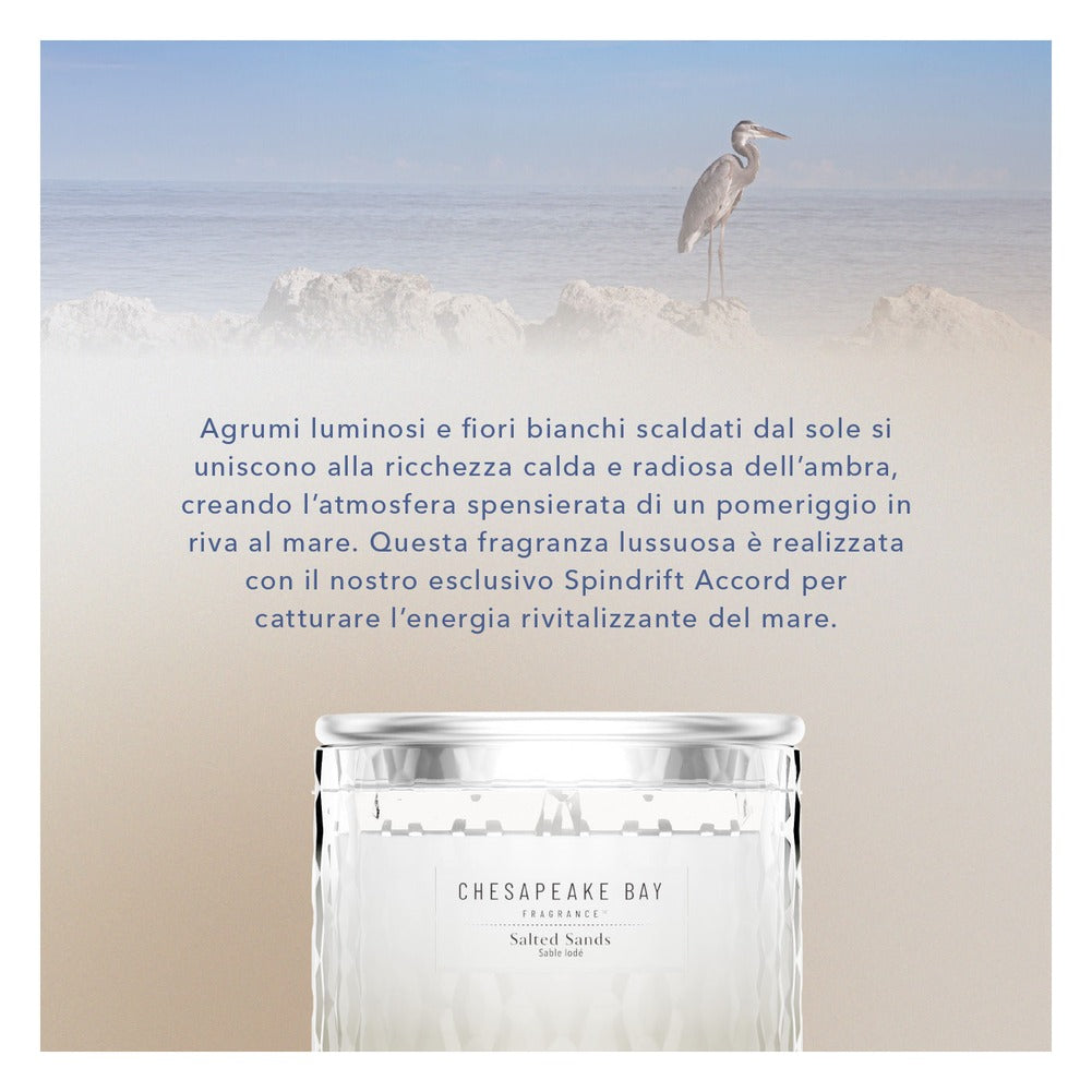 Candela Grande Chesapeake Bay Candle Salted Sands 6
