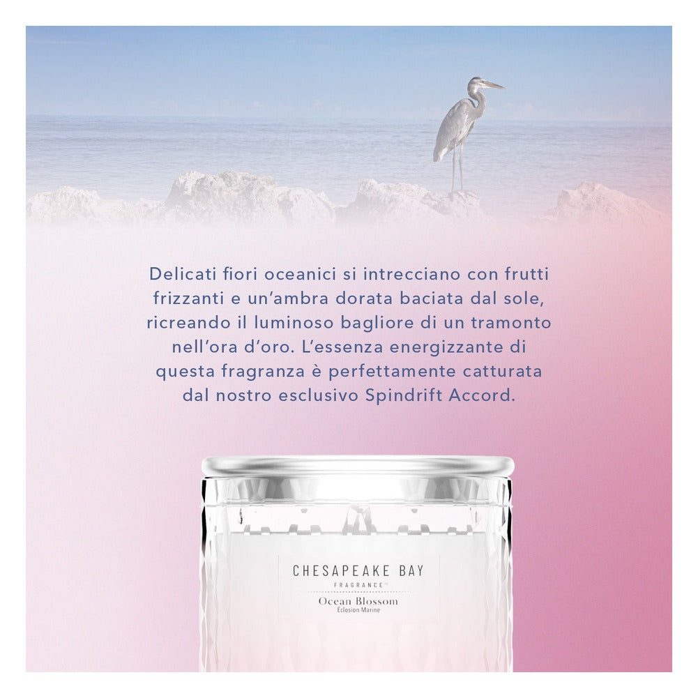 Candela media Chesapeake Bay Candle Ocean Blossom 6