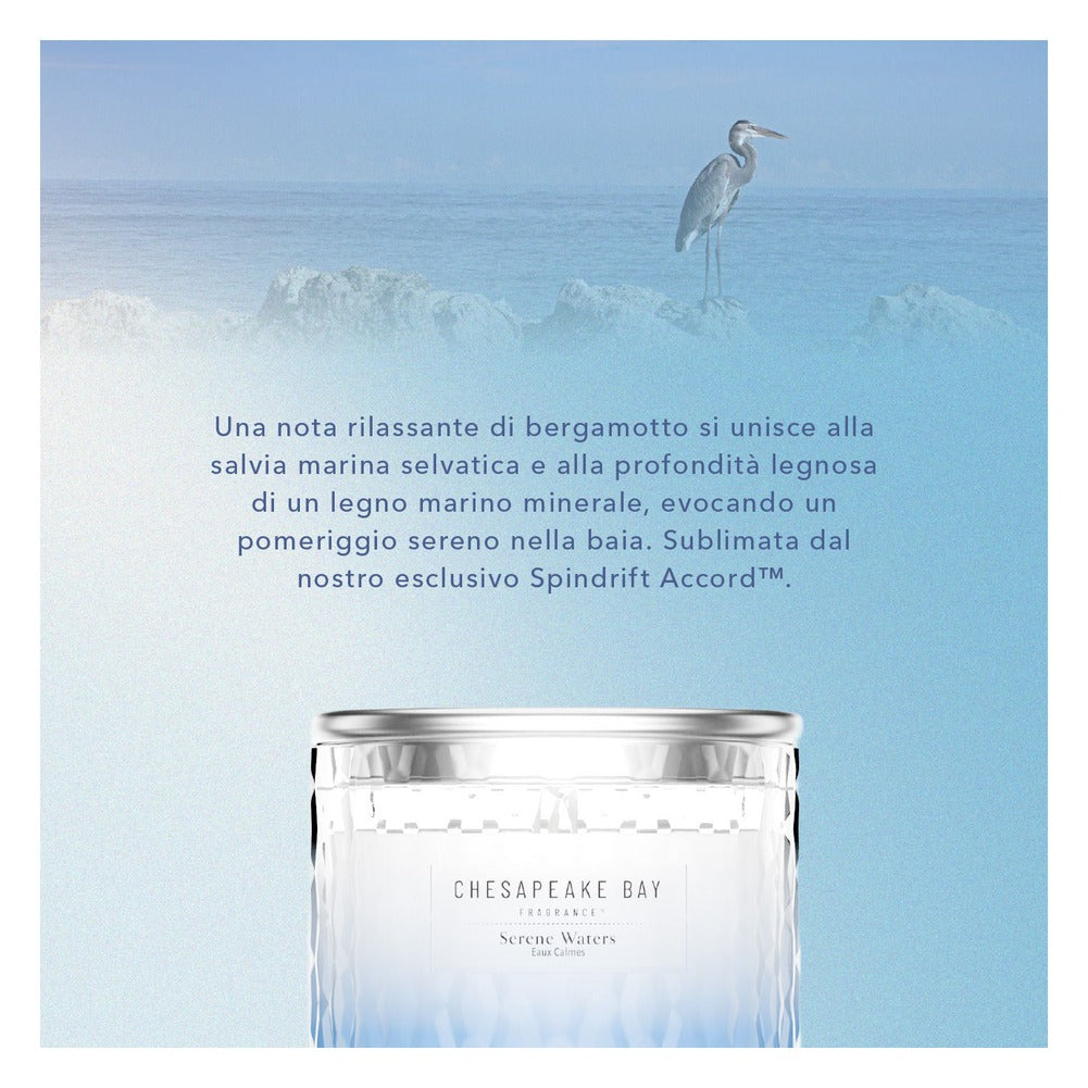 Candela media Chesapeake Bay Candle Serene Waters 6