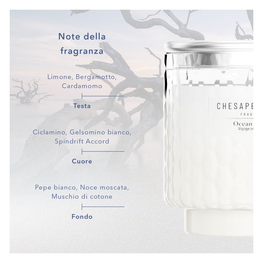 Candela Piccola Chesapeake Bay Candle Ocean Retreat 3