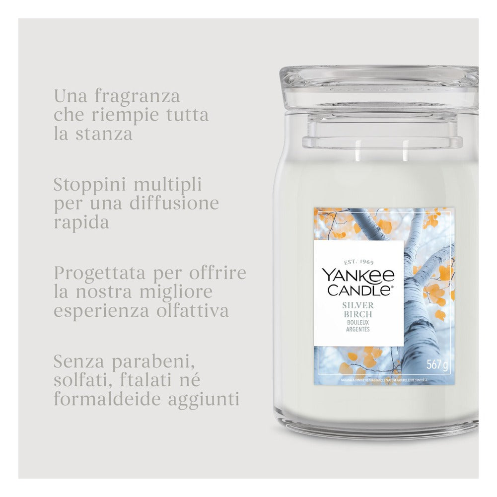 Candela Giara Grande Yankee Candle Signature Silver Birch 5