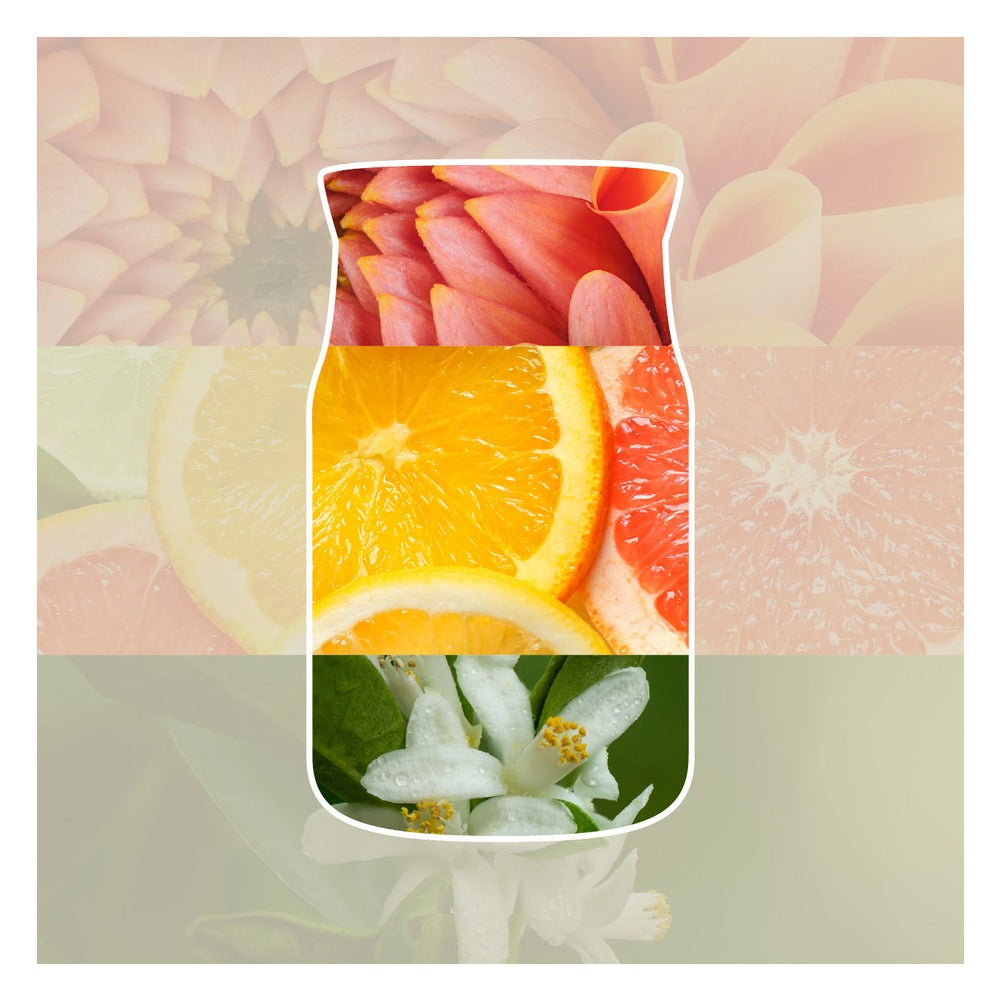 Candela Giara Grande Yankee Candle Signature Sun & Sand 2