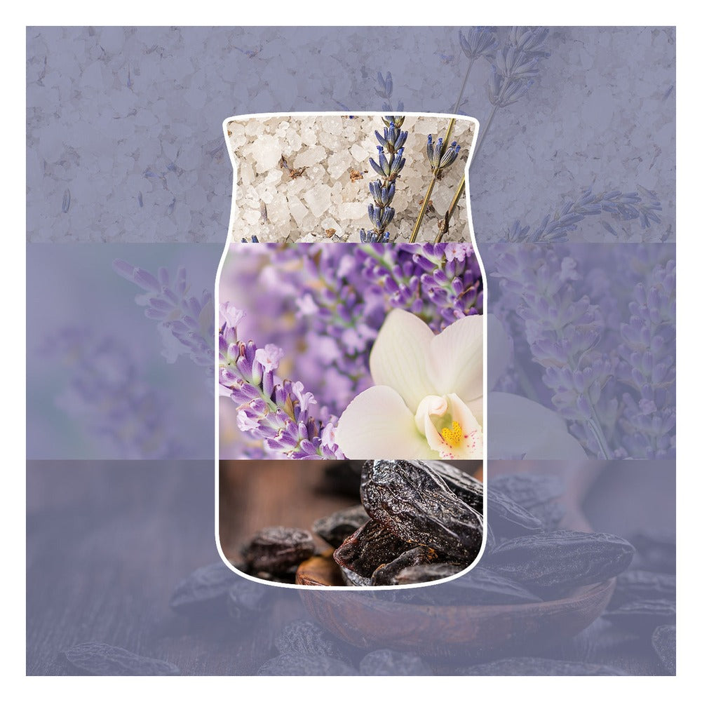 Candela Giara Media Yankee Candle Signature Lavender Vanilla 2