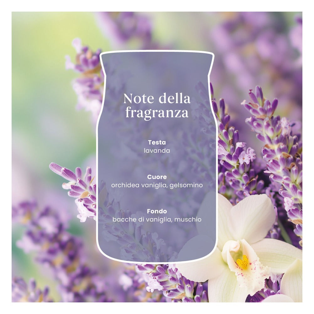 Candela Giara Media Yankee Candle Signature Lavender Vanilla 4