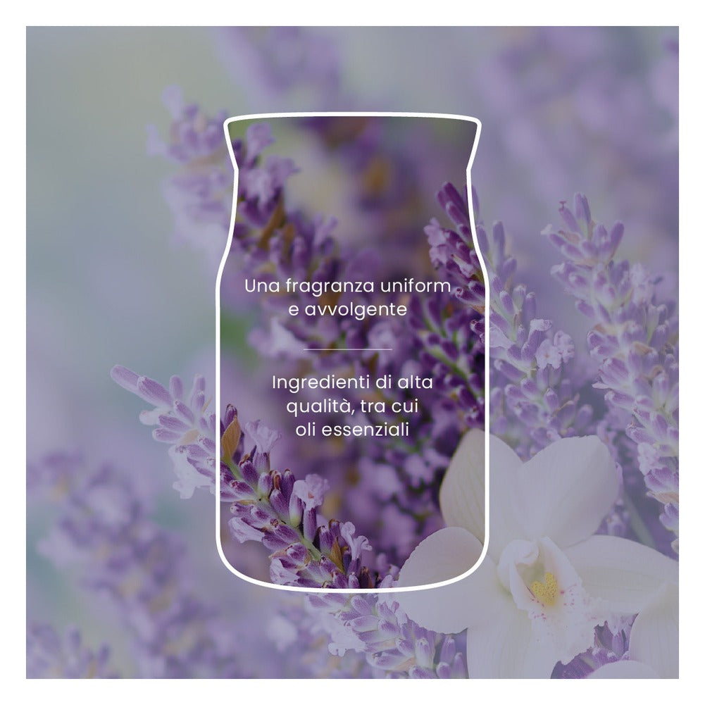 Candela Giara Media Yankee Candle Signature Lavender Vanilla 5