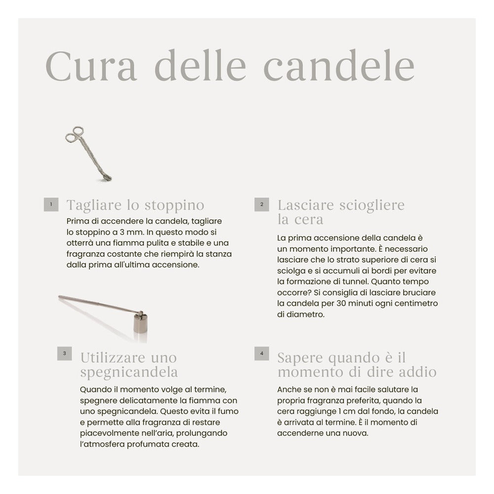 Candela Giara Media Yankee Candle Signature Silver Birch 6