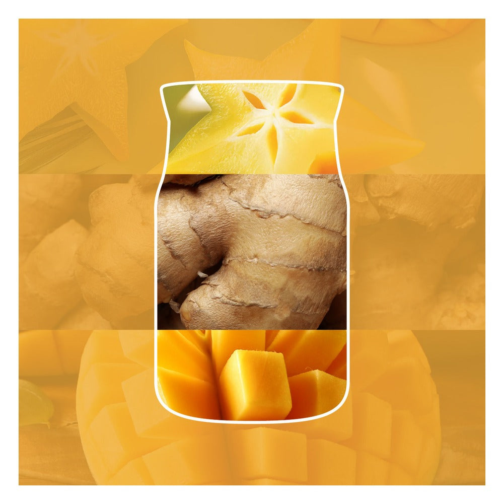 Candela Giara Media Yankee Candle Signature Starfruit & Sunshine 2