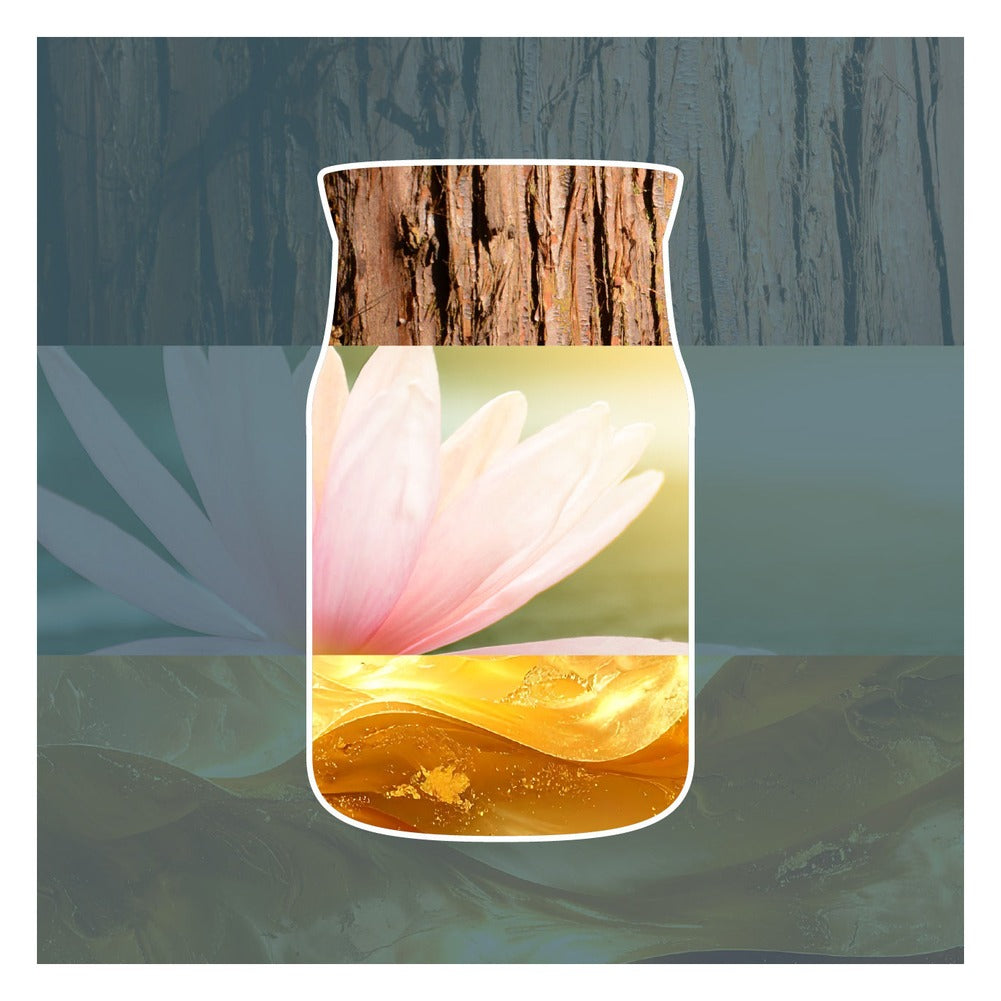 Candela Giara Piccola Yankee Candle Signature Bayside Cedar 2