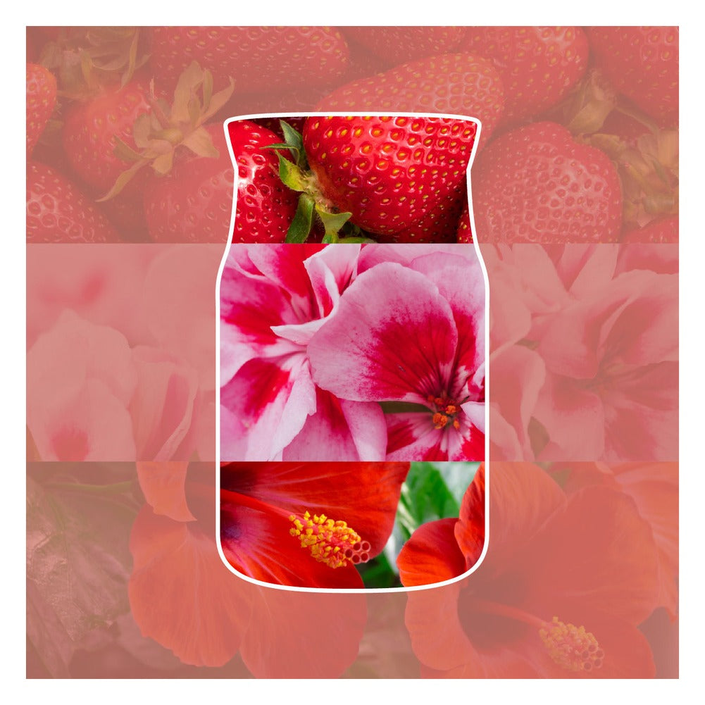 Candela Giara Piccola Yankee Candle Signature Cliffside Sunrise 2