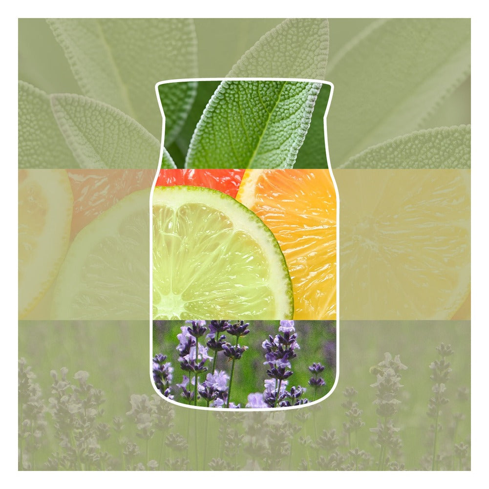 Profumatore per Auto Yankee Candle Car Jar Sage & Citrus 2