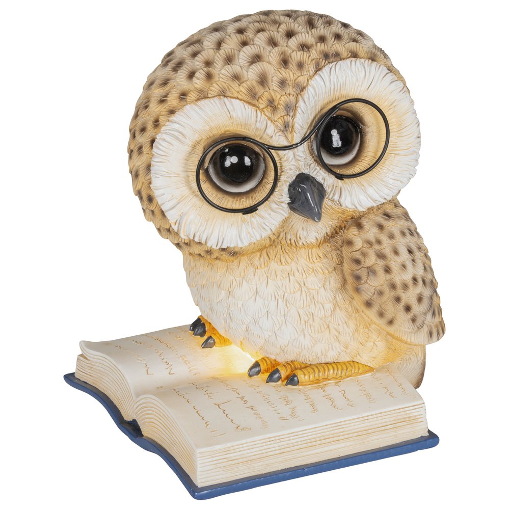 Gufo su pila di libri luminoso a batteria, per interno, 24,5cm 1