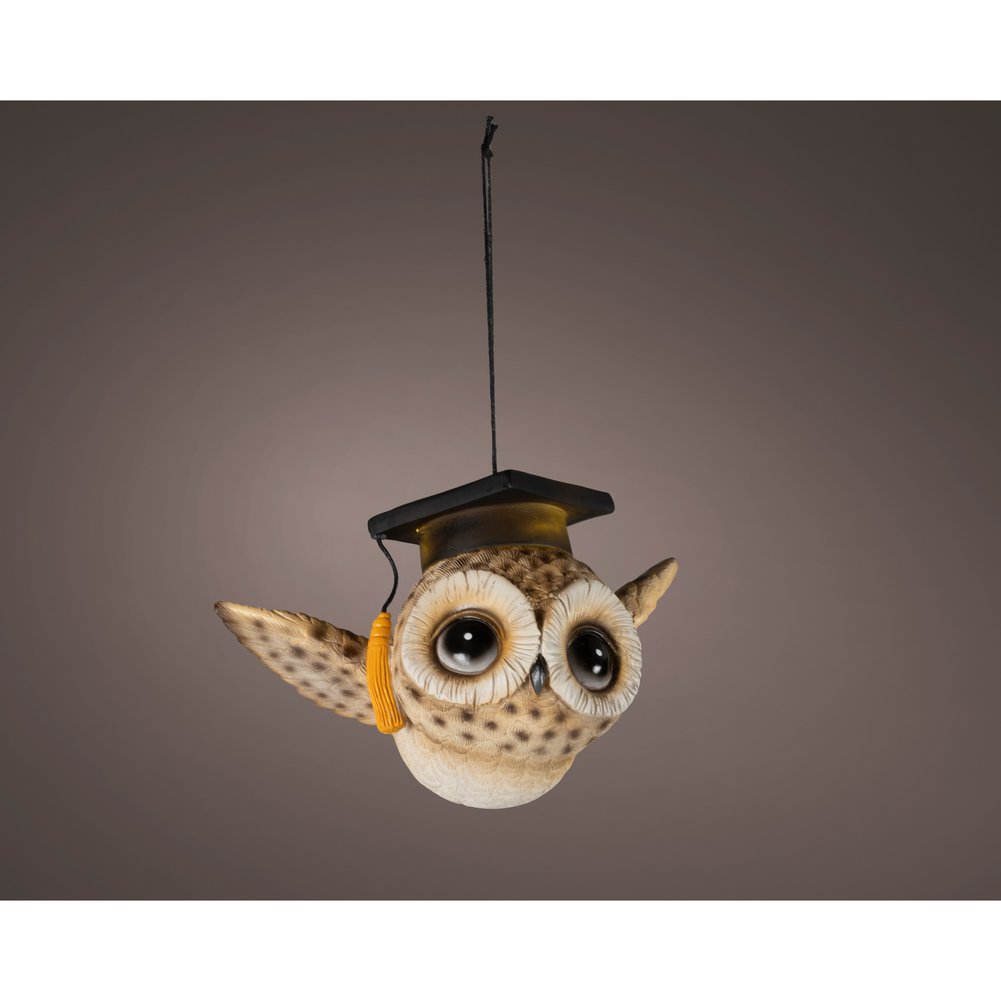 Gufo dottore luminoso a batteria, per interno, 10,5cm 2