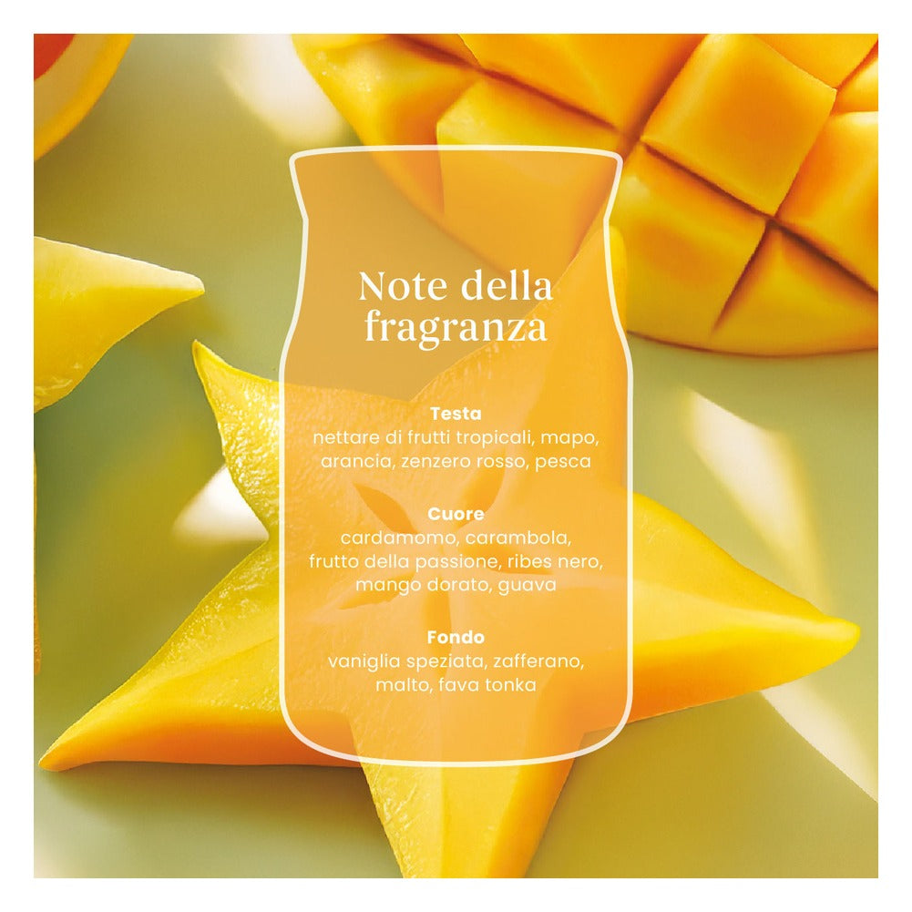 Candela Votiva in Vetro Yankee Candle Signature Starfruit & Sunshine 3