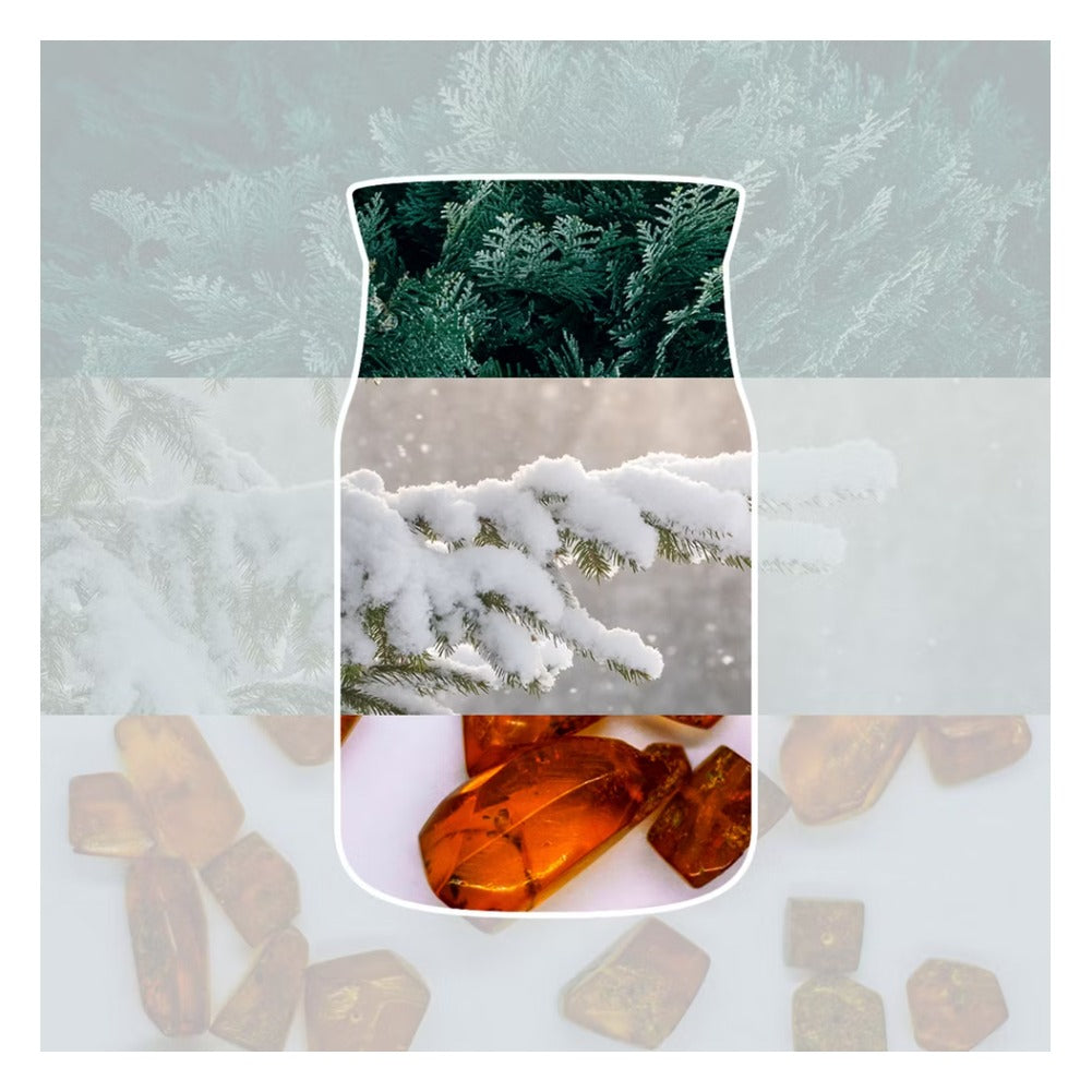 Candela Giara Media Yankee Candle Signature Snow Kissed Pine 2
