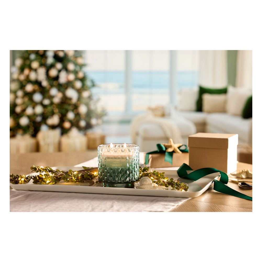 Candela Grande Chesapeake Bay Candle Coastal Snowfall 3