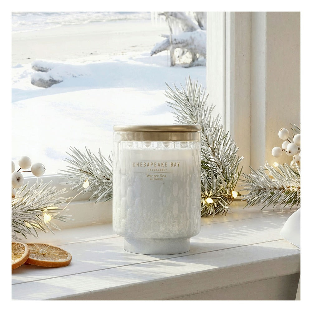 Candela media Chesapeake Bay Candle Winter Sea 4