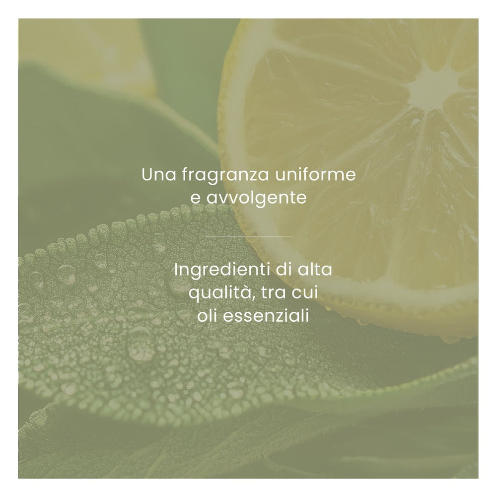 Profumatore per Auto Yankee Candle Car Jar Ultimate Sage & Citrus 6
