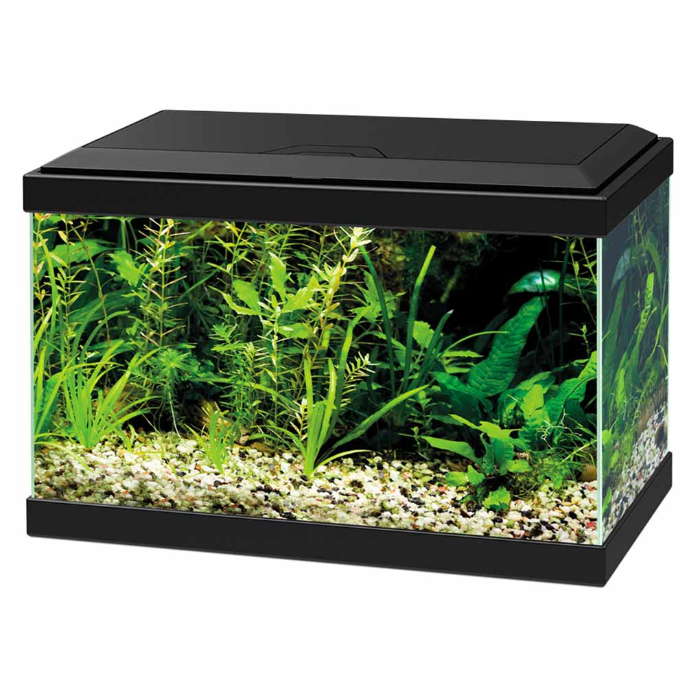 Acquario Askoll Ciano Aqua Light 20 LED 17L nero 1
