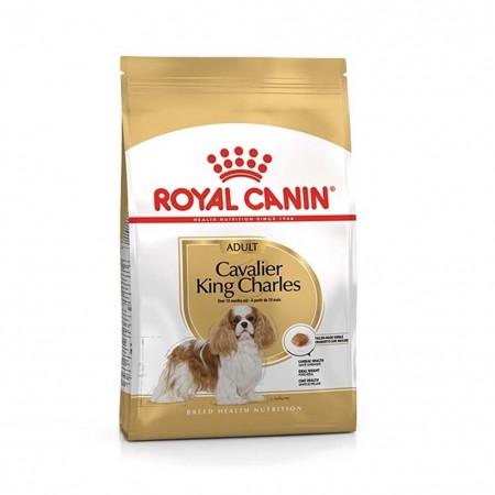 Alimento cane Royal Canin Breed Health Nutrition Cavalier King 1,5kg