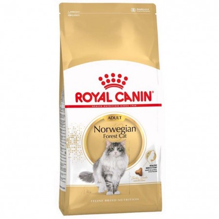Alimento gatto Royal Canin Feline Breed Nutrition Norwegian foresta cat 2kg