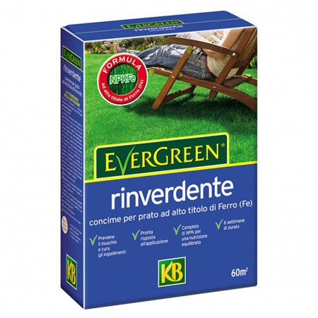 Concime per prato Rinverdente 2kg Evergreen KB