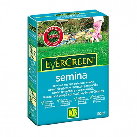 Concime Semina per prato 2kg Evergreen KB