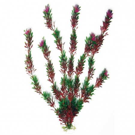 Decorativo per acquario pianta Flora bicolor Media Wave