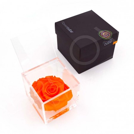 Rosa stabilizzata flowercube rosa arancio 10x10cm Ars Nova