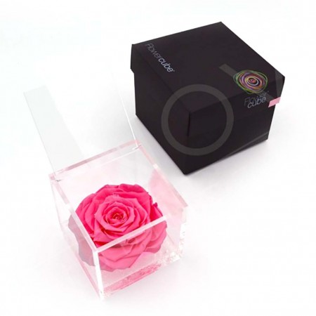 Rosa stabilizzata flowercube rosa rosa 10x10cm Ars Nova