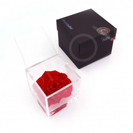 Rosa stabilizzata flowercube rosa rosso 10x10cm Ars Nova