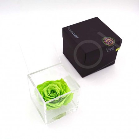 Rosa stabilizzata flowercube rosa verde 10x10cm Ars Nova