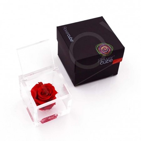Rosa stabilizzata flowercube rosa rosso 6x6cm Ars Nova