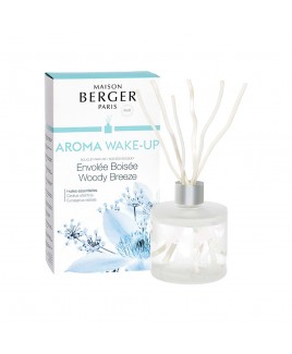 Parfum Berger Bouquet Aroma Wake Up profumazione Envolee Boisee 180ml