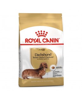 Alimento cane Royal Canin Breed Health Nutrition bassotto 1,5kg