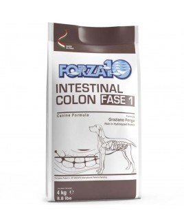 Alimento secco per cani Forza 10 Intestinal Colon active fase 1 Formula Dottor Pengo sacco da 4 kg