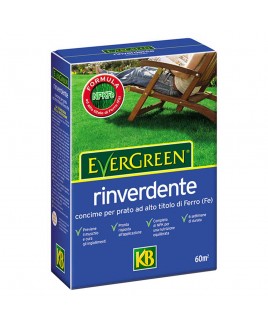 Concime per prato Rinverdente 2kg Evergreen KB