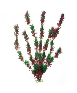 Decorativo acquario pianta Flora bicolor Media Wave