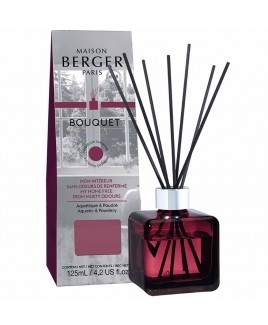 Parfum Berger ricarica per bouquet a bastoncini Anti Odori Stanza chiusa 125ml