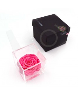 Rosa stabilizzata flowercube rosa rosa 10x10cm Ars Nova