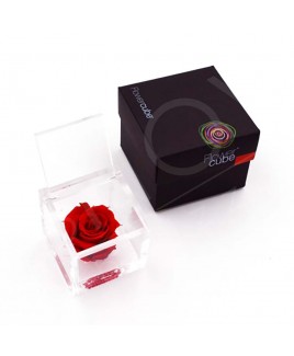 Rosa stabilizzata flowercube rosa rosso 6x6cm Ars Nova